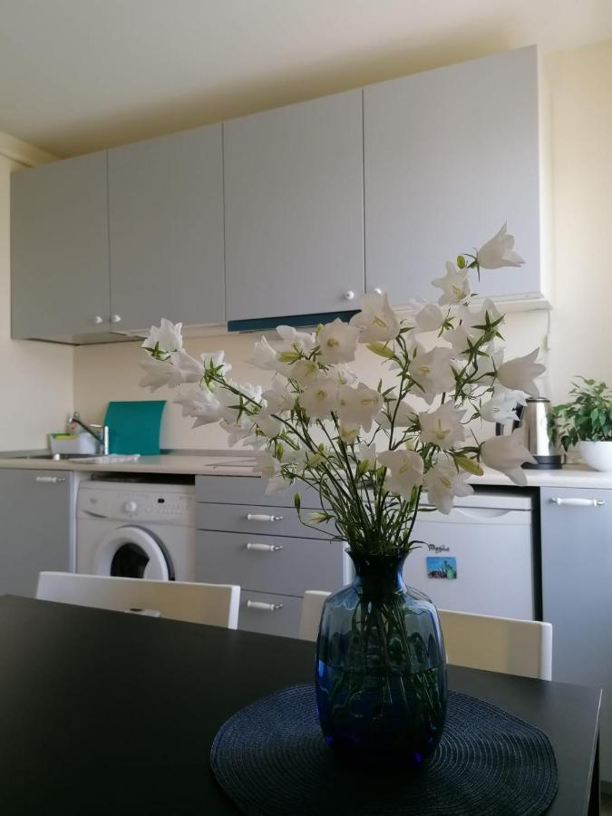 Apartment Anna Saldus Luaran gambar
